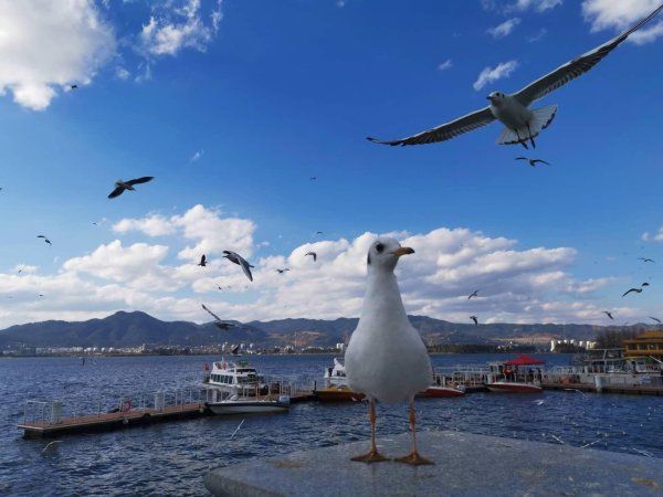 山东师大停招25个本科专业，高校密集调整院系专业设置