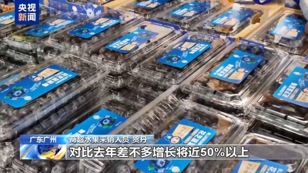 从“贵”族水果到价格亲民 “蓝莓自由”是如何实现的