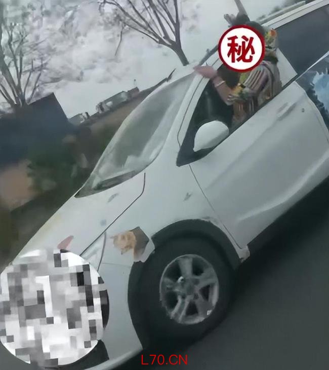 女子驾车探身车外“兜风”吓坏旁车 危险行为引热议