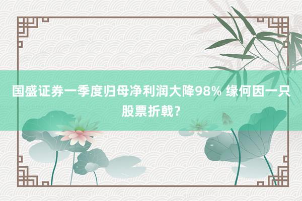 国盛证券一季度归母净利润大降98% 缘何因一只股票折戟？