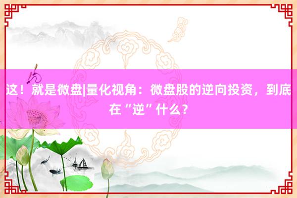 这！就是微盘|量化视角：微盘股的逆向投资，到底在“逆”什么？