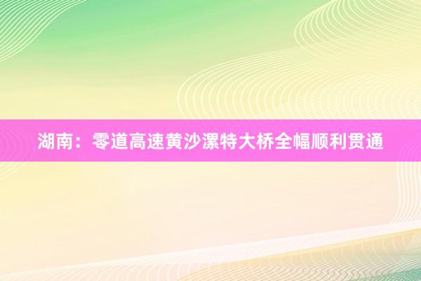 湖南：零道高速黄沙漯特大桥全幅顺利贯通