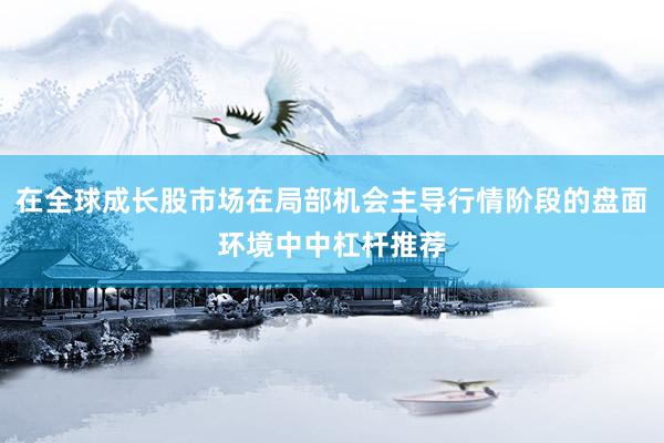 在全球成长股市场在局部机会主导行情阶段的盘面环境中中杠杆推荐