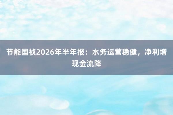 节能国祯2026年半年报：水务运营稳健，净利增现金流降