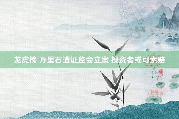 龙虎榜 万里石遭证监会立案 投资者或可索赔