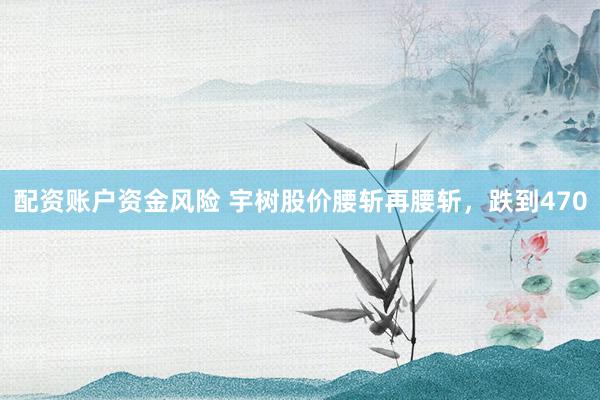 配资账户资金风险 宇树股价腰斩再腰斩，跌到470