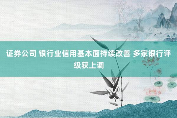 证券公司 银行业信用基本面持续改善 多家银行评级获上调